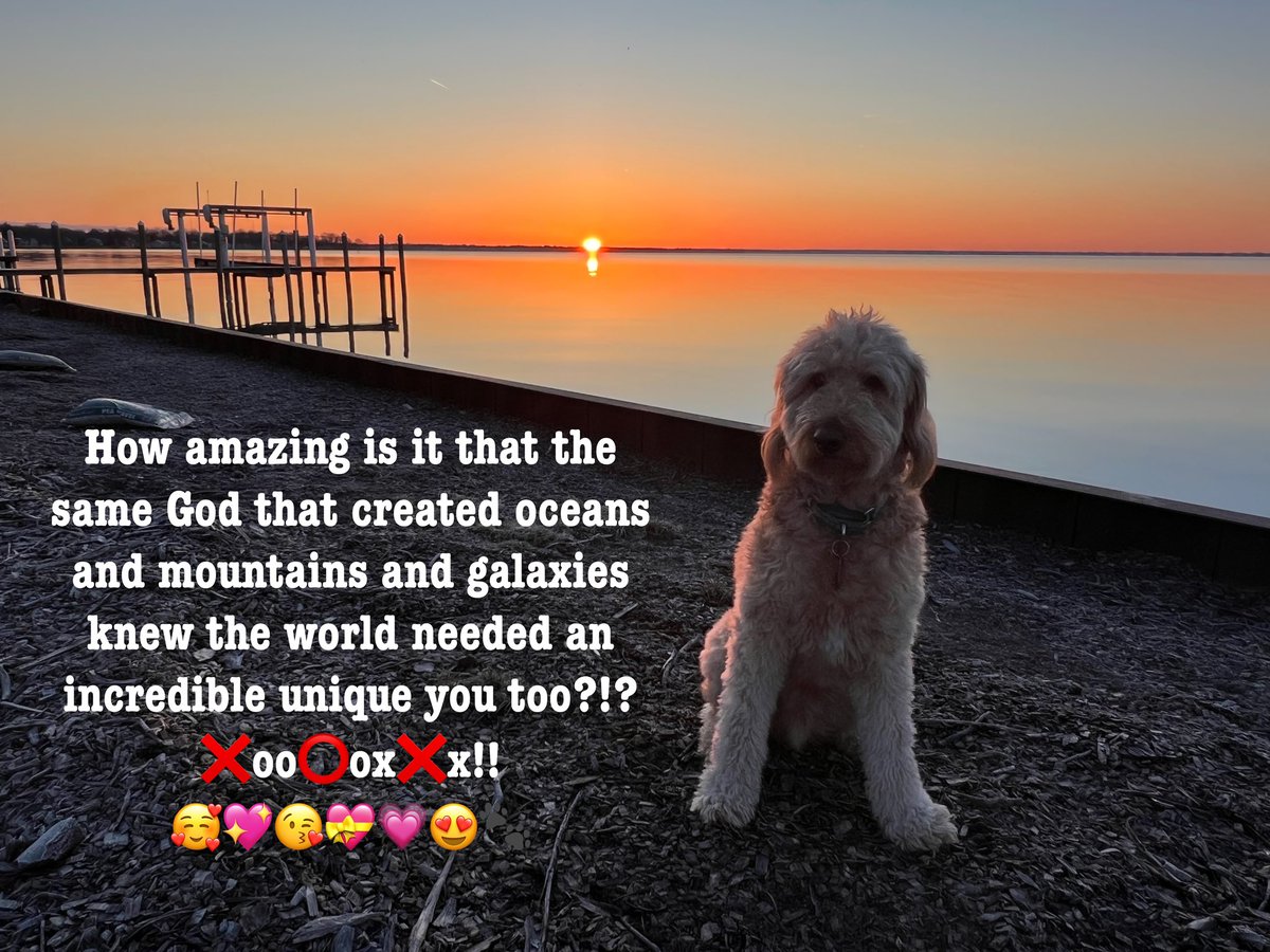 How amazing is it that the same God that created oceans and mountains and galaxies knew the world needed an incredible unique you too?!? ❌oo⭕️ox❌x!! 🥰💖😘💝💗😍🐾