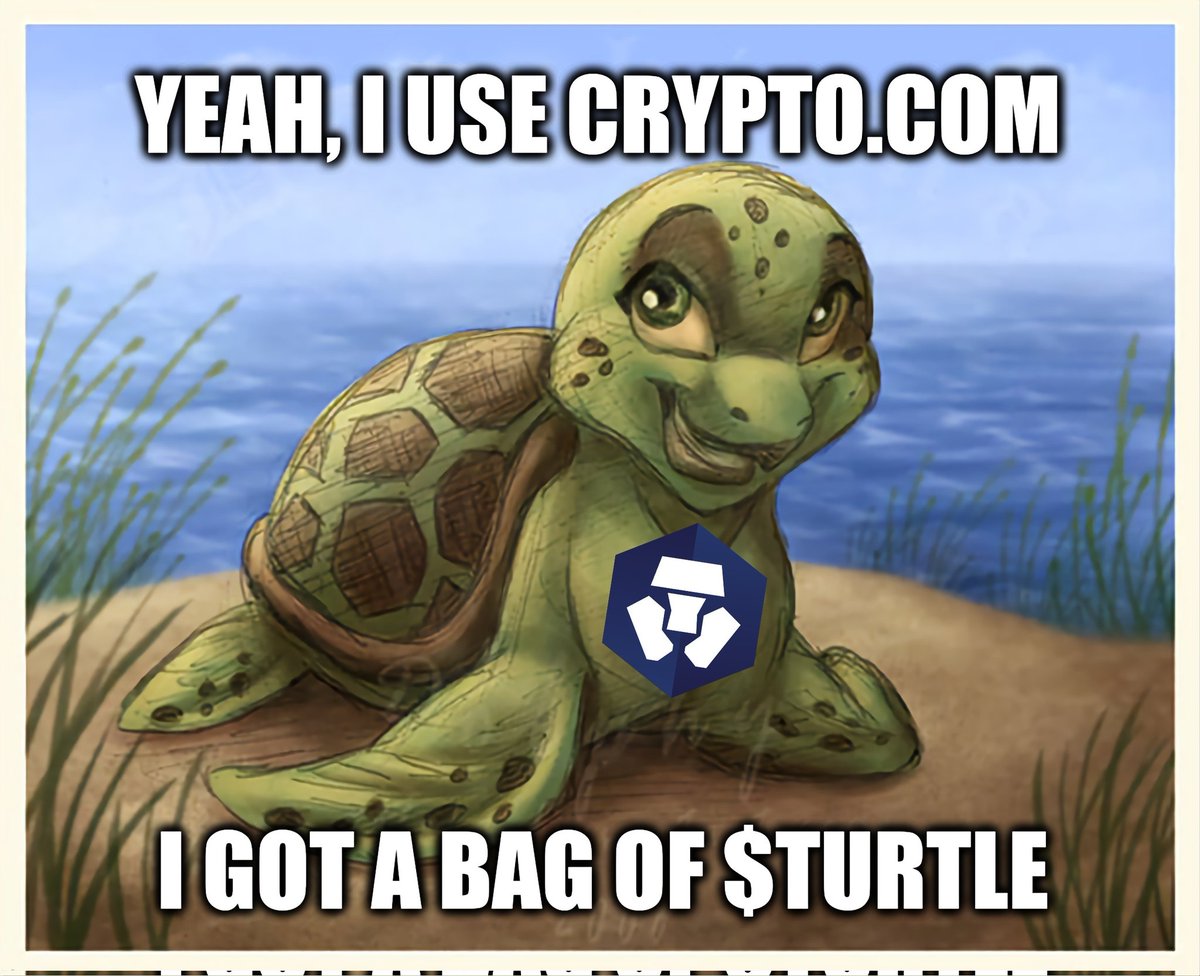 We have a good dip on $TURTLE. I asked a top holder to dilute themself a bit and add liquidity on <a href="/VVS_finance/">VVS-Finance</a>. There are now 3 pools on #VVS. A V3, V2, and a USDC pair. Anyone else wanting to add liquidity to VVS is appreciated. Let's go #crofam! 

#cryptocom #memecoins