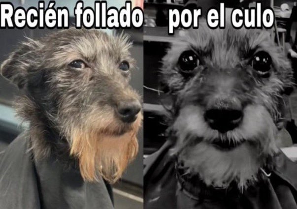 cabo_borja's tweet photo. @johnnyherbertf1 @benjhunt @JonasHut https://t.co/phX1qhO0CS