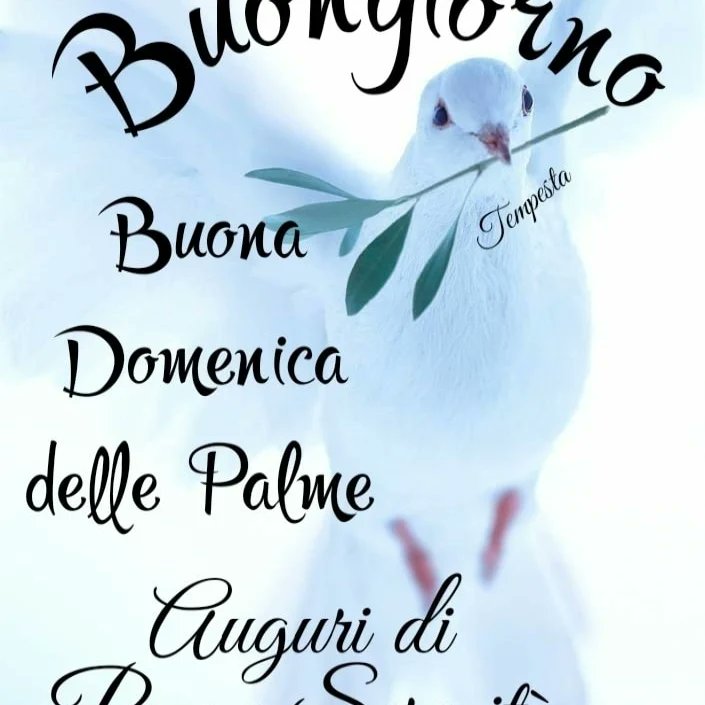 marika_marone's tweet photo. #buonadomenicadellepalme #pacenelmondo #postwarintheworld #disarmo #cessateilfuoco #PeaceAndLove #stopguerre https://t.co/GFljYhbm64