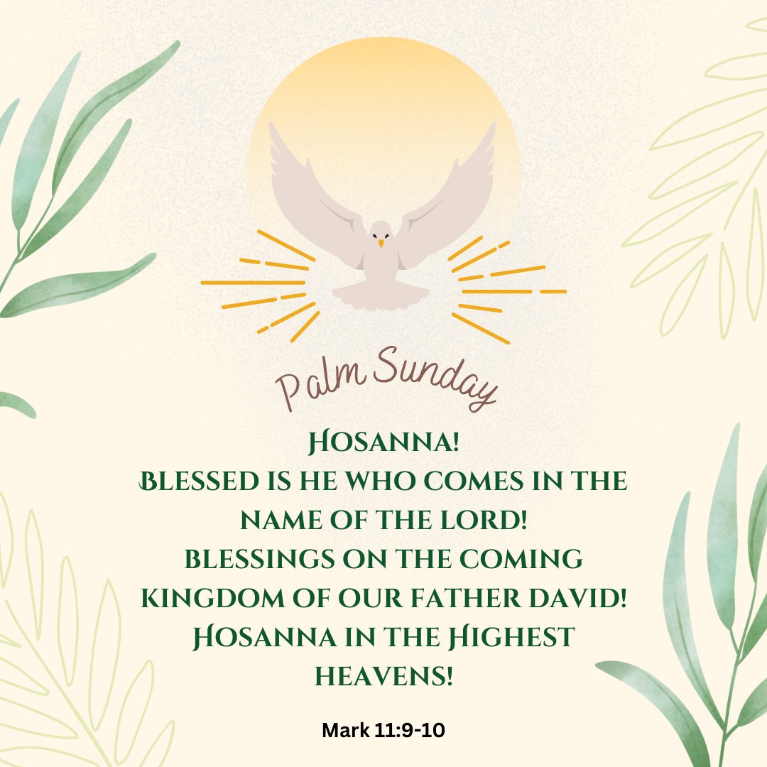 Foundation of the Roman Catholic Diocese - Raleigh tweet media