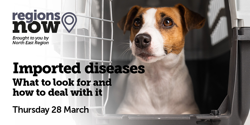 Vets and vet nurses... join our online course on Imported Diseases on Thurs (28 March) from 7.30pm. 

Covering parasitology, Brucella canis, leishmania, heart worm, and more.   

Book://bsavaportal.bsava.com/s/community-event?id=a1mTw000000IQs5IAG 

#vetcpd #vetnursecpd #RVNCPD