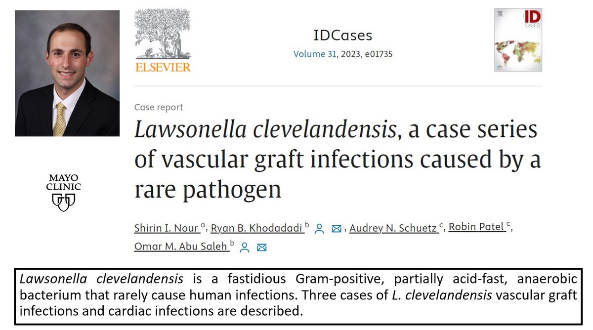 #ScholarlySunday features Dr. @RyanKhodadadiMD and his team. They describe a series of patients with Lawsonella clevelandensis vascular graft and cardiac infections. @omarabusaleh15 @micro_rp @schuetz_audrey