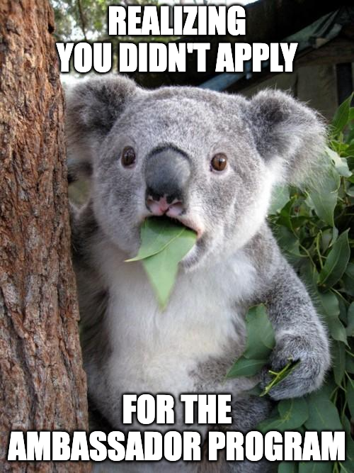 bitdelta's tweet photo. laaaaast daaaaaay...
QUICK!!! last chance to apply🔗 https://t.co/N5mrltp5Ua
.
.
#BitDeltaStudentAmbassador #Bitcoin #Ambassador #student #Airdrop #LearnAndGrow #Crypto #viralvideo #CryptoCommunity #bullrun #Bullrun2024 #kriptopora #kripto #rkiye #borsa #yat #bitcoint https://t.co/gp1J4MVF1L