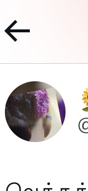 amazonusepapers's tweet image. Ok