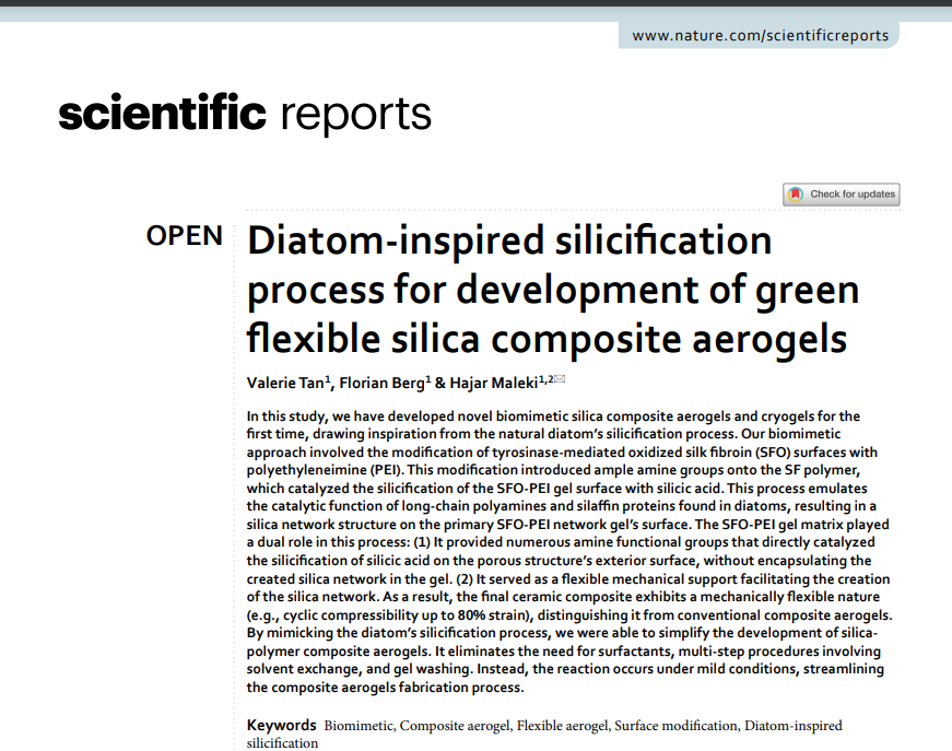 A newly published paper from my group in Scientific Reports We have developed novel #biomimetic #silica composite #aerogels, for the first time, drawing inspiration from the natural #diatom’s silicification process.
Article is open access in: lnkd.in/enrFet-g