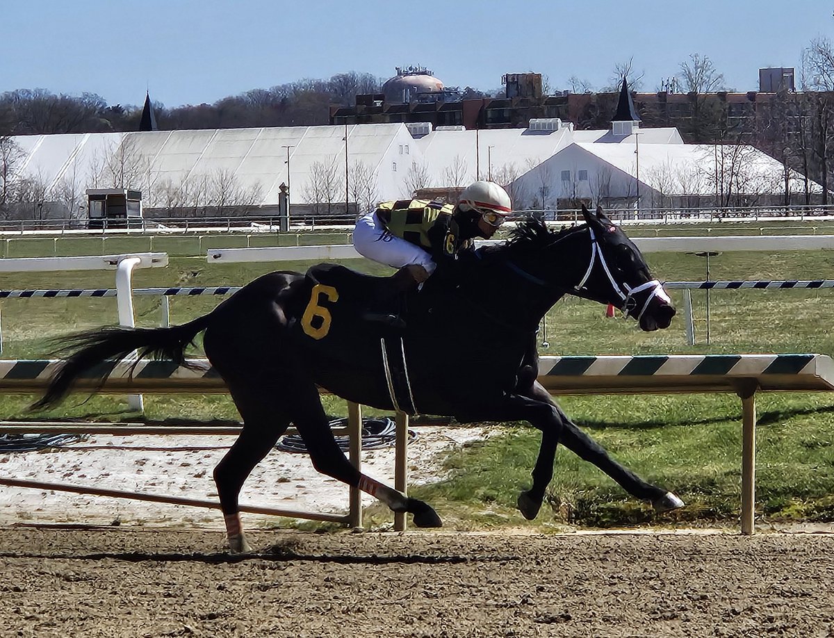 The Racing Biz (@theracingbiz) on Twitter photo Patingas Twin graduates in R3 <a href="/LaurelPark/">The Maryland Jockey Club, Inc.</a> with <a href="/jockey_jb18/">JEIRON BARBOSA🏇🏻</a> up for <a href="/FarriorRacing/">Anthony Farrior</a> Patingas Twin graduates in R3 <a href="/LaurelPark/">The Maryland Jockey Club, Inc.</a> with <a href="/jockey_jb18/">JEIRON BARBOSA🏇🏻</a> up for <a href="/FarriorRacing/">Anthony Farrior</a>