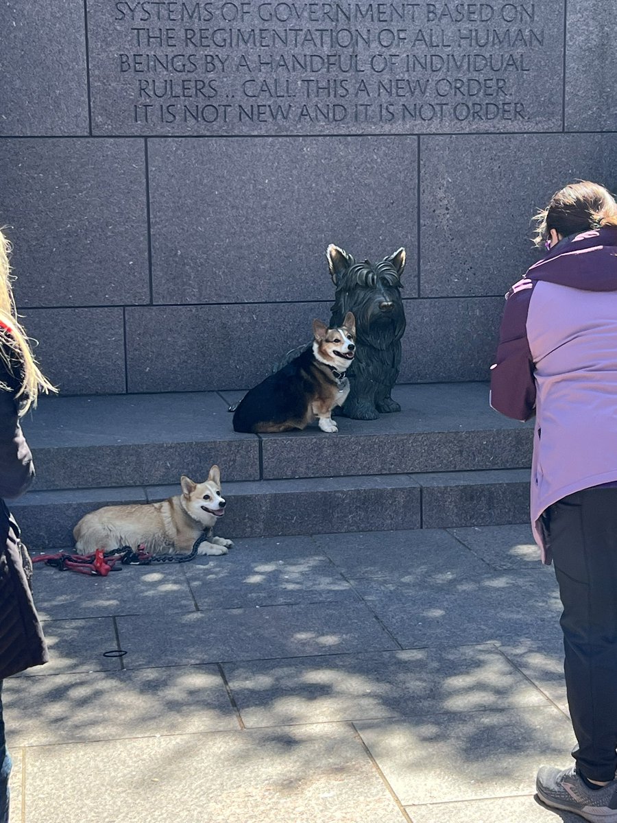 kirk_bado's tweet photo. Dreams coming true here at the FDR Memorial https://t.co/IygQYPNdTR