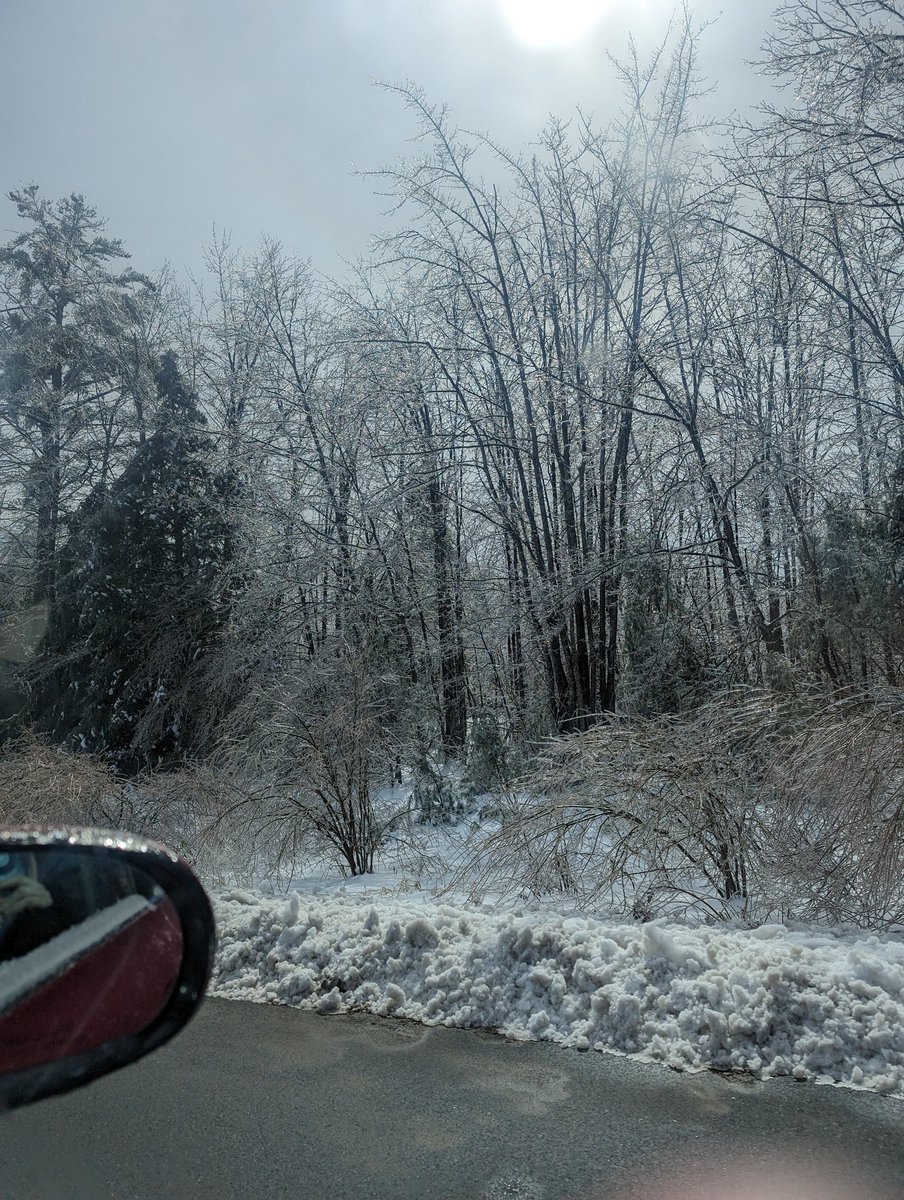 freemusicempire's tweet photo. Just March in Maine #frozentrees https://t.co/EuakiKAHm4