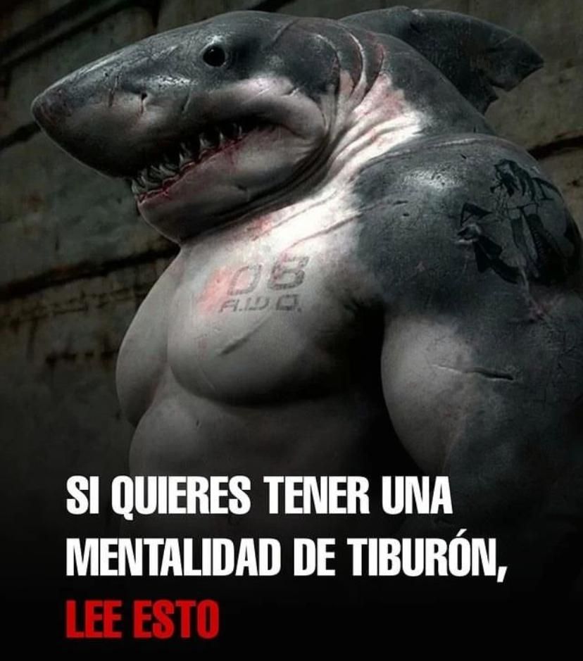 Fran_actua tweet picture