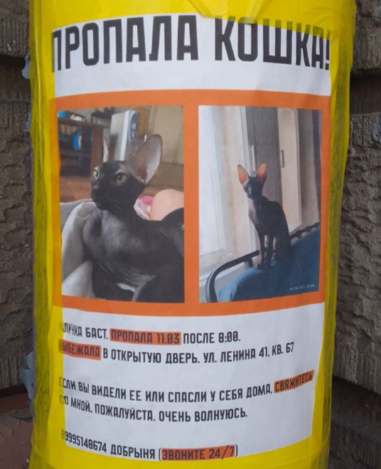 петроградский эксперт (@petrokspert) on Twitter photo 