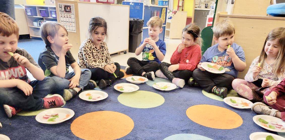 As the #HCSPreschool scholars in Jennifer Arnold’s class @RineyvilleE learned about the parts of a plant, they created a plant snack.🌷Mrs. Arnold is so creative! ❤️#HCSBetterTogether #HCSPreschool #PlantSnack #CreativeTeacher #HandsOnLearning