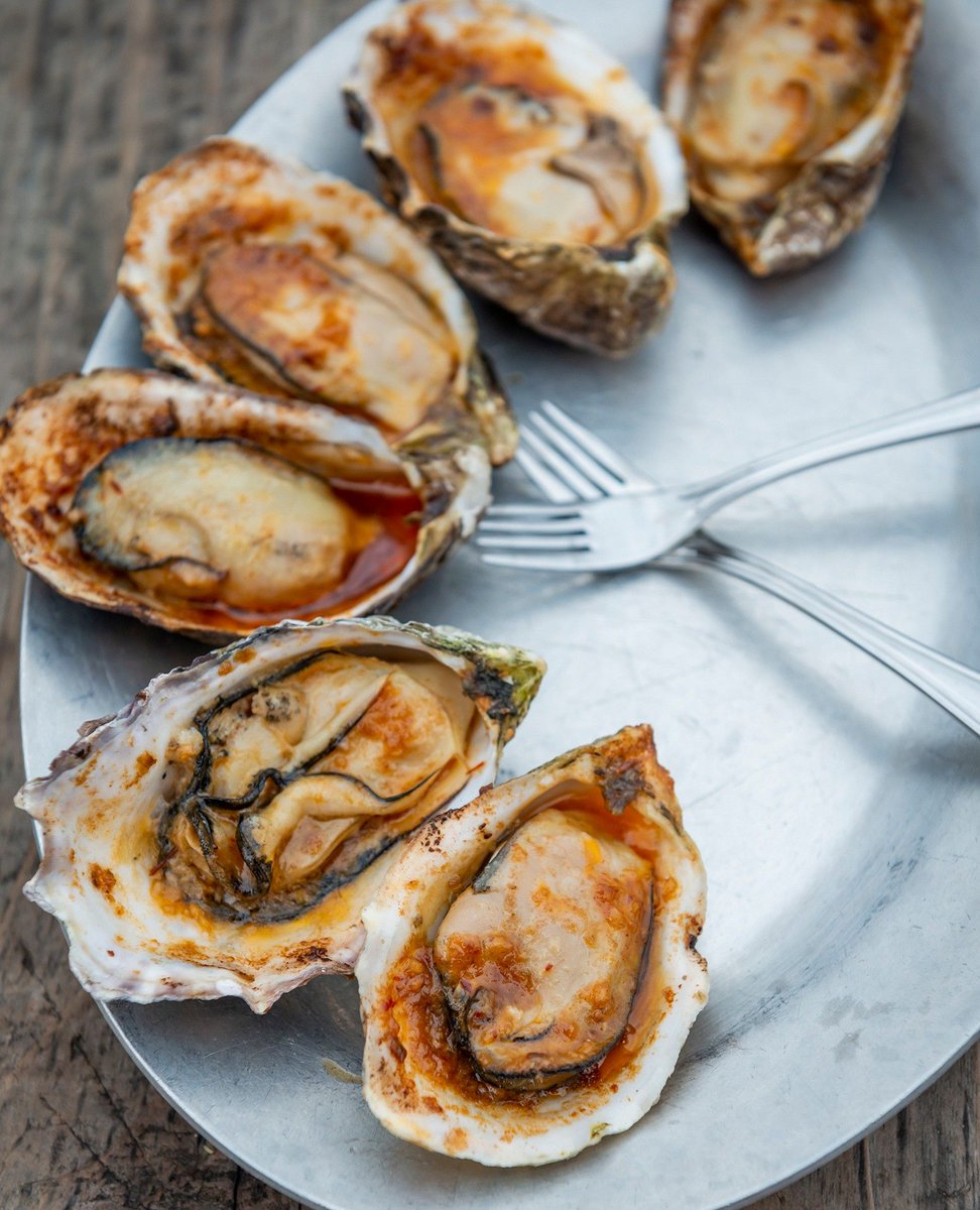 While our first love will always be fresh, raw oysters, we'll never say no to a sizzly bbq'd oyster! These beauties are grilled with our Chipotle Bourbon Butter. Snag a jar at the link below and get to grillin' 🔥 l8r.it/I7H5 #HogIslandOysterCo #GrilledOysters