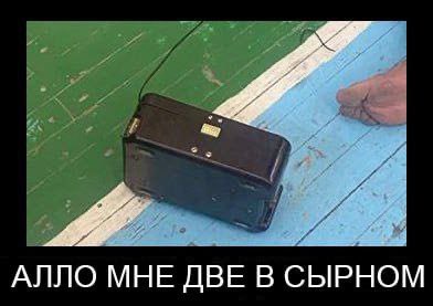 mos_owl tweet picture