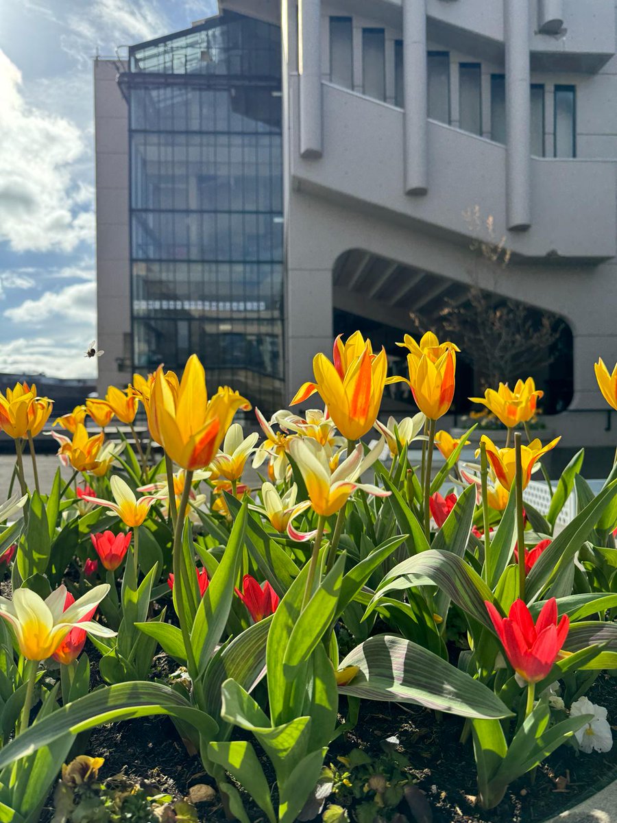 Leeds University Campus is getting spring ready for our upcoming egg hunt with SpacePlay on Saturday 30th March 🥚🌷 Free tickets available from Eventbrite > eventbrite.co.uk/e/leeds-modern…