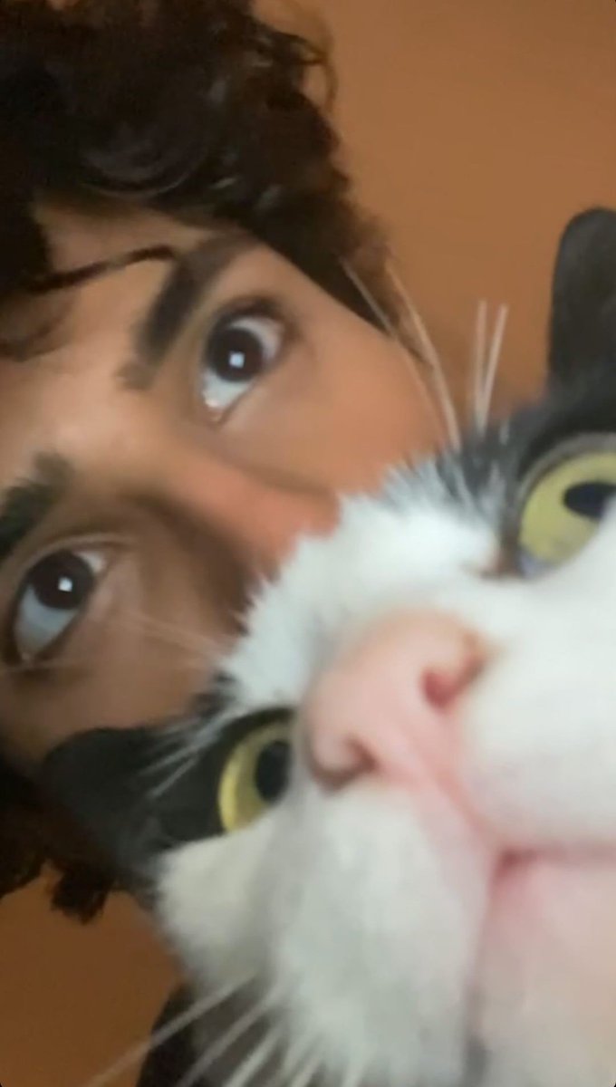 eu e meu segundo gatinho