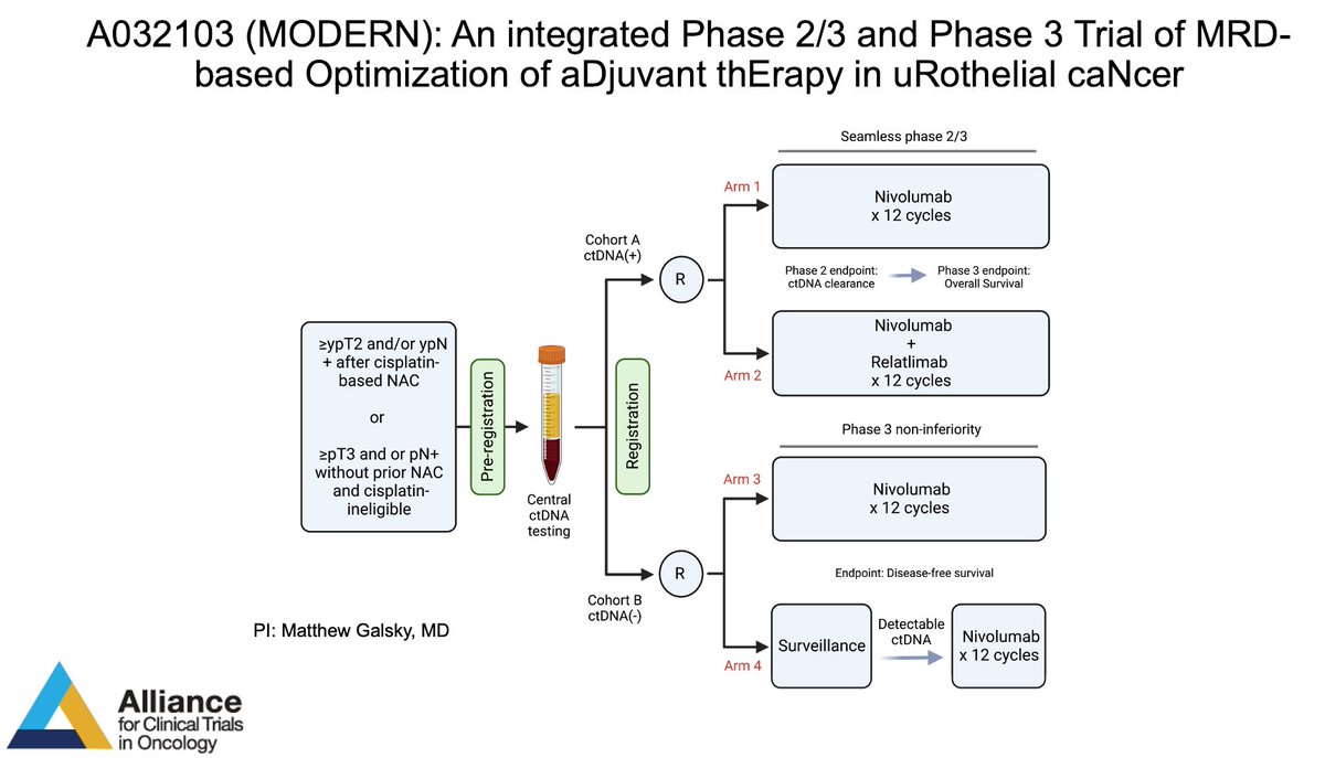Matt Galsky (@mattgalsky) on Twitter photo MODERN is open! Available at your site through the CRSU. Please help advance MRD-based adjuvant decision making in bladder cancer. <a href="/ALLIANCE_org/">Alliance for Clinical Trials in Oncology</a> <a href="/alantanmd/">Alan Tan</a> <a href="/UroDocAsh/">Ashish M. Kamat, MD, MBBS</a> <a href="/eaonc/">ECOG-ACRIN Cancer Research Group</a> <a href="/SWOG/">SWOG Cancer Research Network</a> <a href="/sonpavde/">Guru P. Sonpavde, MD</a> <a href="/PaulCrispenMD/">PaulCrispenMD</a> <a href="/bergsa83/">Stephanie Berg</a> <a href="/SuzanneColeMD/">Suzanne Cole, MD, FACP, FASCO</a> <a href="/NitinYerram/">Nitin Yerram M.D.</a> <a href="/DrTylerStewart/">DrTylerStewart</a> <a href="/DrRosenbergMSK/">Jonathan Rosenberg MD</a> MODERN is open! Available at your site through the CRSU. Please help advance MRD-based adjuvant decision making in bladder cancer. <a href="/ALLIANCE_org/">Alliance for Clinical Trials in Oncology</a> <a href="/alantanmd/">Alan Tan</a> <a href="/UroDocAsh/">Ashish M. Kamat, MD, MBBS</a> <a href="/eaonc/">ECOG-ACRIN Cancer Research Group</a> <a href="/SWOG/">SWOG Cancer Research Network</a> <a href="/sonpavde/">Guru P. Sonpavde, MD</a> <a href="/PaulCrispenMD/">PaulCrispenMD</a> <a href="/bergsa83/">Stephanie Berg</a> <a href="/SuzanneColeMD/">Suzanne Cole, MD, FACP, FASCO</a> <a href="/NitinYerram/">Nitin Yerram M.D.</a> <a href="/DrTylerStewart/">DrTylerStewart</a> <a href="/DrRosenbergMSK/">Jonathan Rosenberg MD</a>