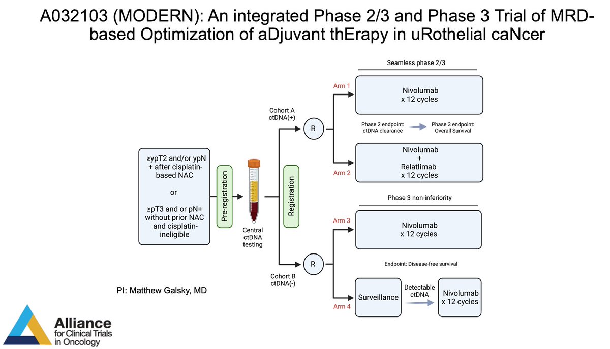 MODERN is open! Available at your site through the CRSU. Please help advance MRD-based adjuvant decision making in bladder cancer. @ALLIANCE_org @alantanmd @UroDocAsh @eaonc @SWOG @sonpavde @PaulCrispenMD @bergsa83 @SuzanneColeMD @NitinYerram @DrTylerStewart @DrRosenbergMSK