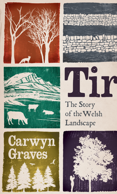 Dei Tomos tweet media