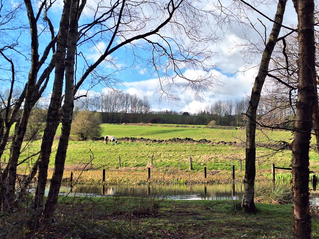 I made the most of good weather late afternoon and had a walk through Raw Nook Nature Reserve #LowMoor #Bradford. I haven't been for a while - looking forward to making it a regular walking route again now Spring is here. 🌳🌱🌤