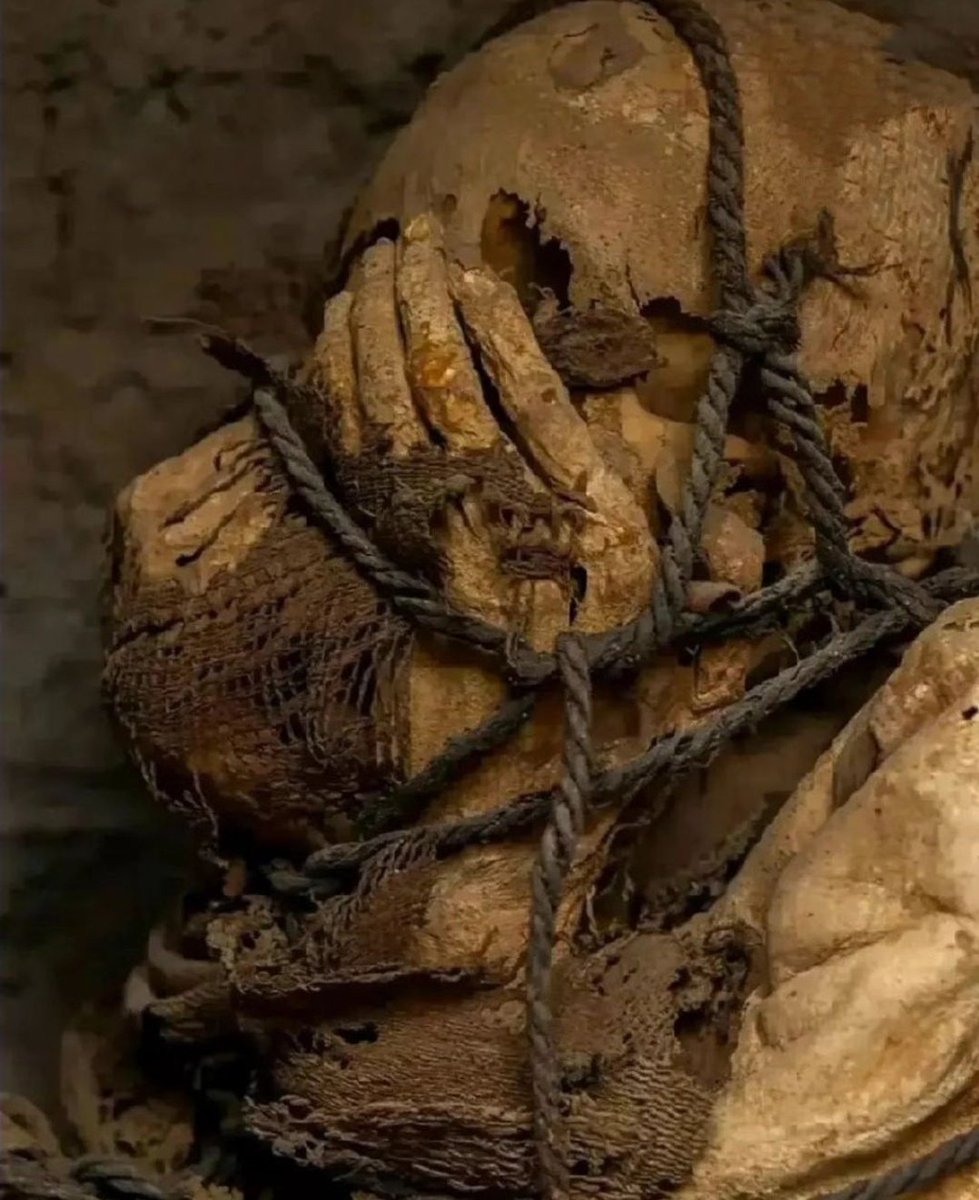 جسد ترسیده و پر از اضطرابی که هشتصد سال پیش مرده است.
چقدر خوفناکه 🥲