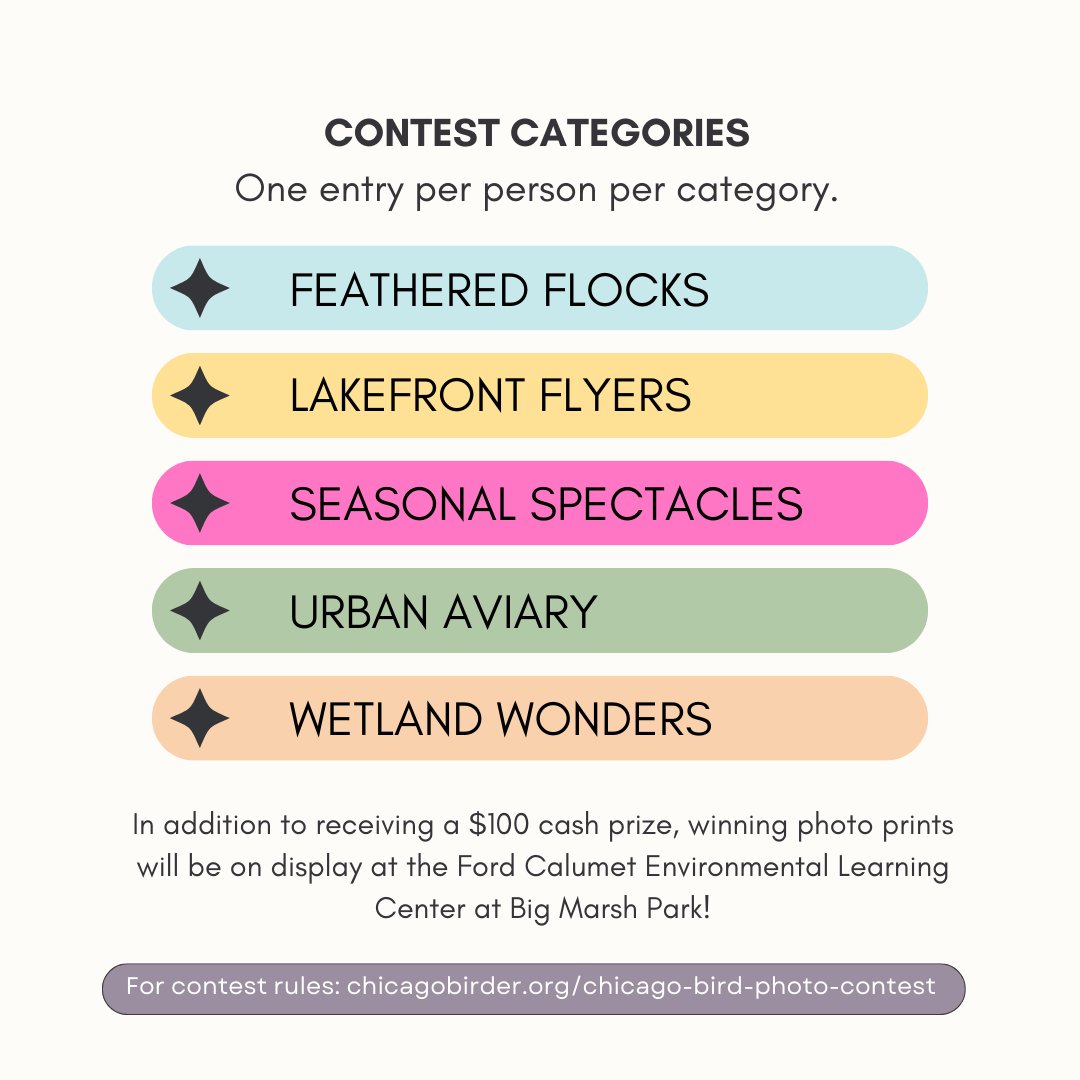 Are you a photographer, or at least try to be? Then you should submit to the Chicago Bird Photography Contest! What have you got to lose? chicagobirder.org/chicago-bird-p…