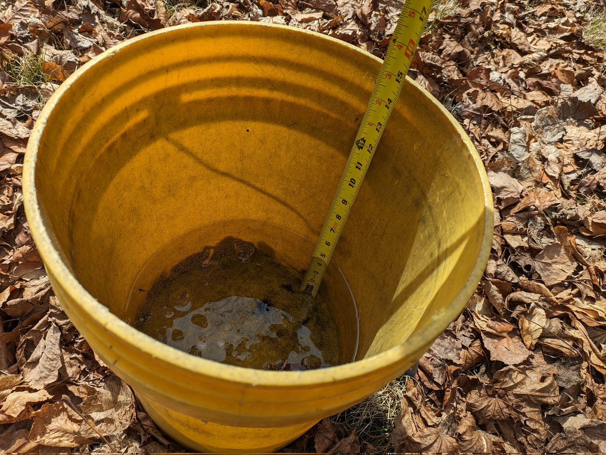 4.5" of rain in bucket from yesterday (March 23, 2024) in Cranston, RI 02921. #riwx <a href="/WX1BOX/">SNE Amateur Radio Skywarn</a> <a href="/NWSBoston/">NWS Boston</a> #spotterID_13397