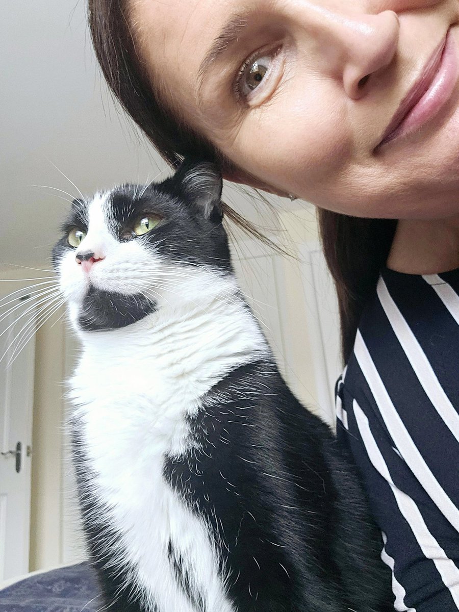 Minding my own business, taking a few selfies, which I thought I was doing really well at....then mum just has to get involved. I've been photobombed 😾😾😾
#JeanPierre #rescuecat #supermodel #teammeezer #CatsOfTwitter #CatsAreFamily