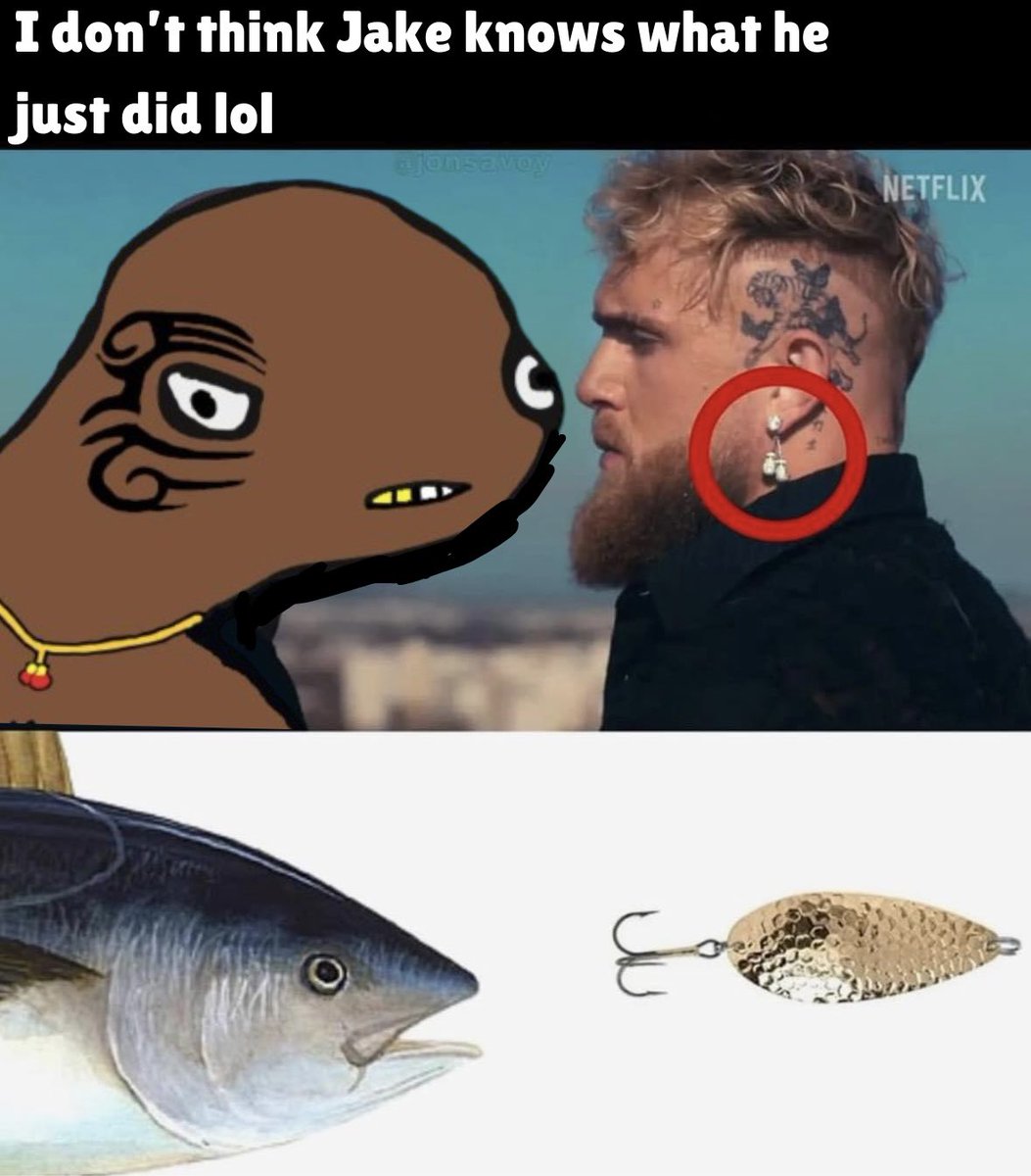 myke_meme's tweet image. $MYKE #jakemike