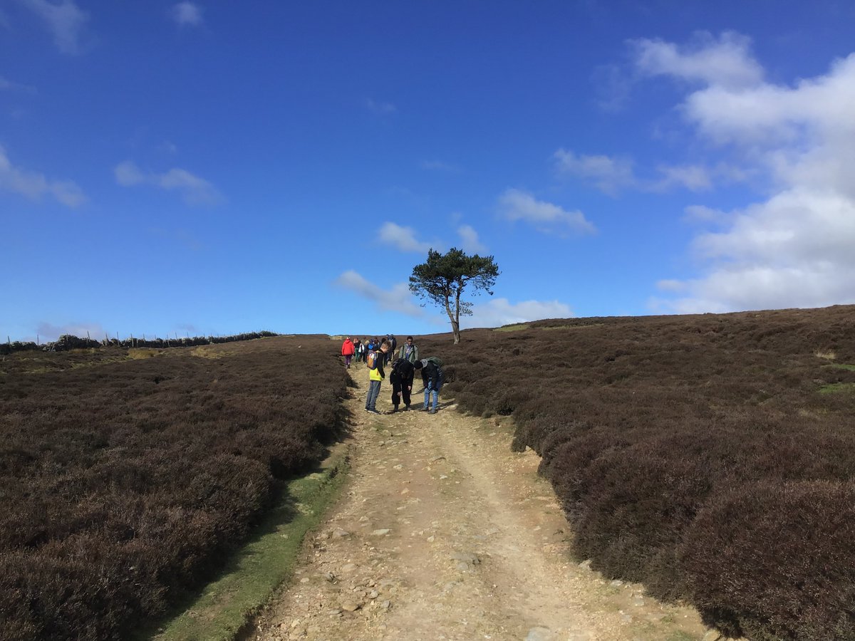 Kay Brown tweet media