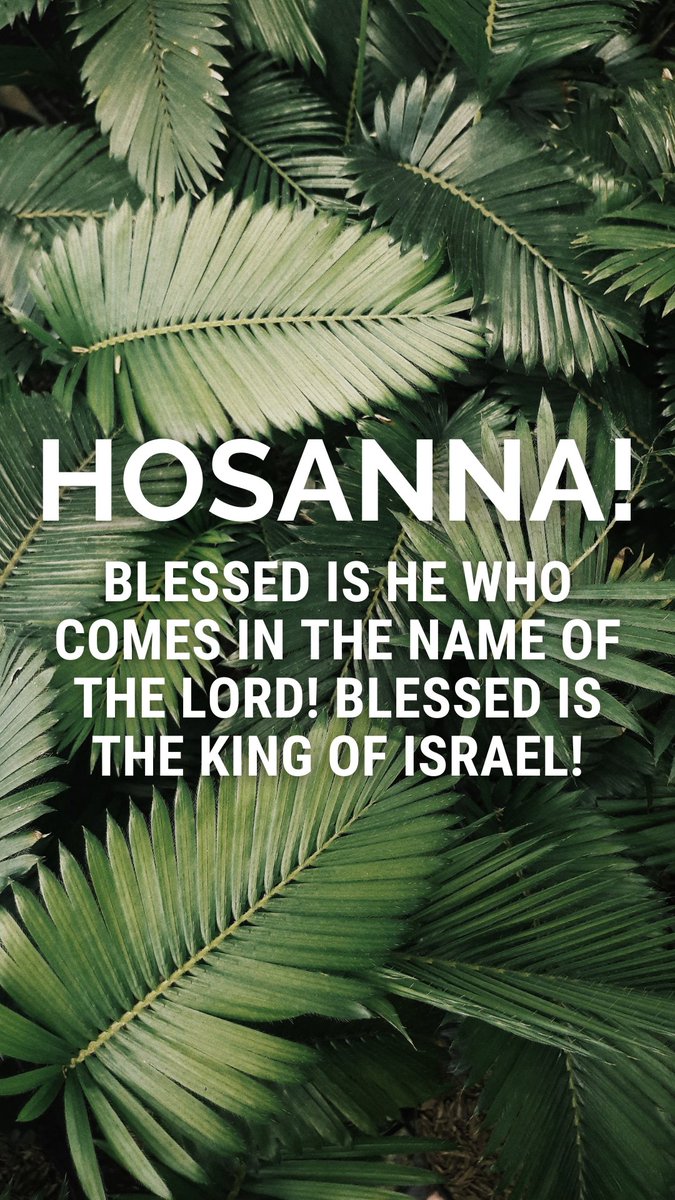 Mt. Olive Austin (@mtoliveaustin) on Twitter photo 