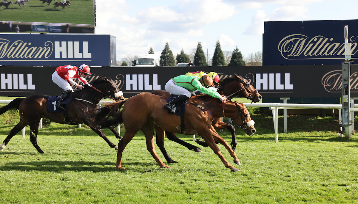 Oh so close! Woven (nearside) comes within a whisker of opening his account for the season at the first time of asking at @DoncasterRaces today under @phillip_dennis. Commiserations to connections but it augurs well for the season ahead.