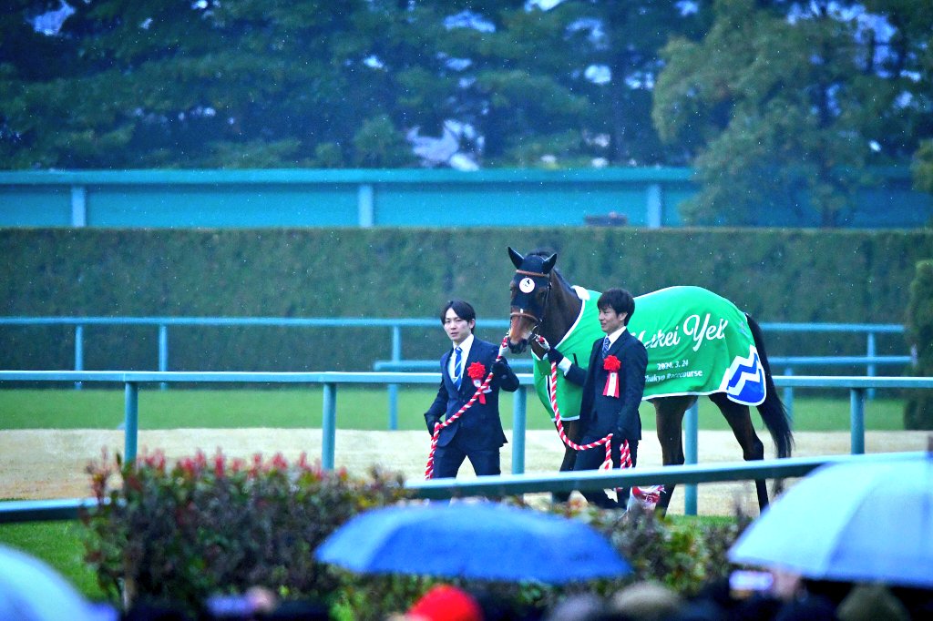 ときわ tweet media