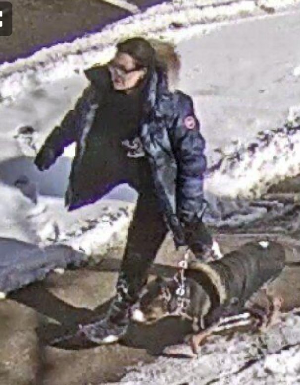 Do you know this woman? Unleashed dog inflicts “life-altering” injuries on child in city playground; owner flees the scene thestar.com/news/gta/child…