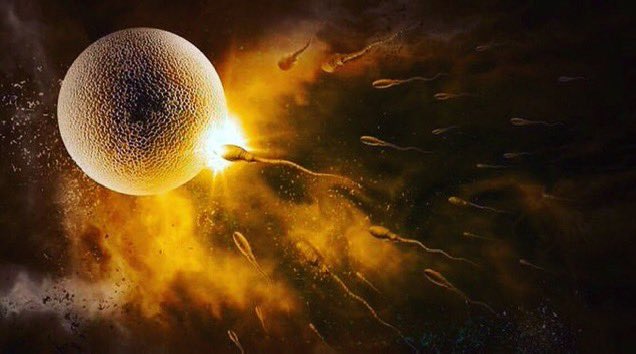 La ciencia confirma que la vida humana comienza en la fecundación, cuando da lugar a una única célula. #SiAlaVida