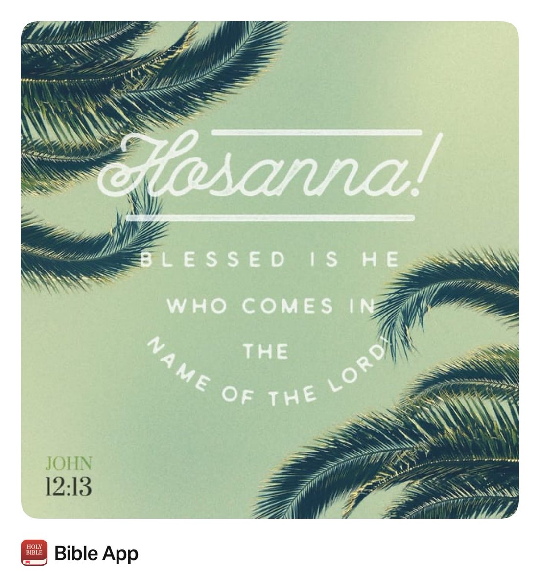 Valerie Schultz tweet media