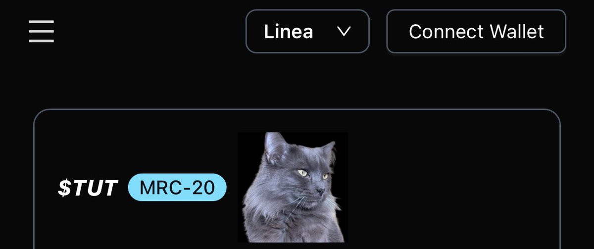 catwifriz's tweet photo. $TUT @catwifriz #mrc20 ZK #ETH Ordinals #memecoin with $0 gas fees 

@LineaBuild blockchain 

https://t.co/MJIzmj1l2c https://t.co/Wl4OspTBiv
