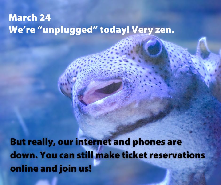 ⚠️ March 24, 2024

We're "unplugged" today! Come chill out with us!

Really, our internet and phone lines are down. You can still make reservations online and join us! Reservation link is our bio.