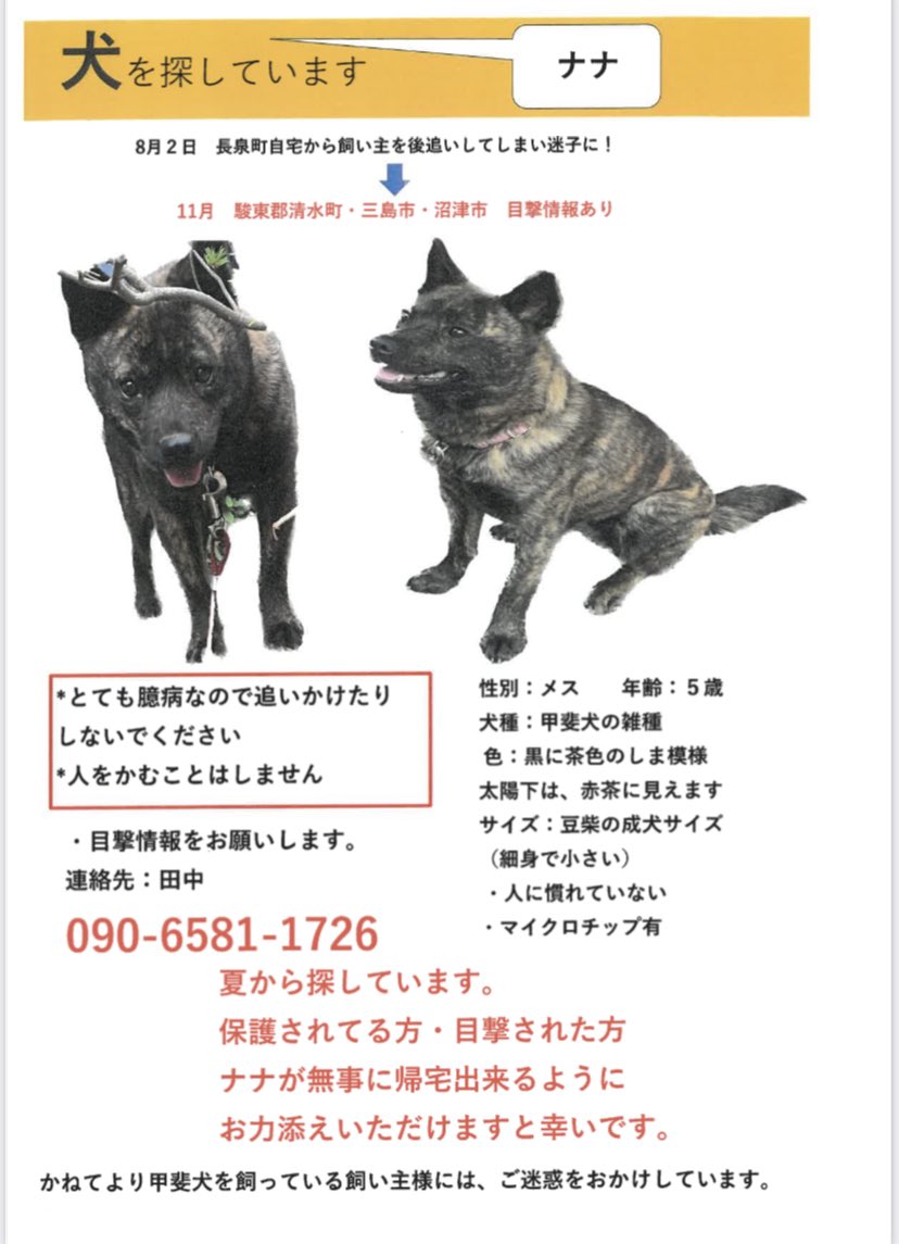 ナナは現在→沼津アルプス方面にいます
ナナは、たくさん怖い思いをしてしまい
、人前に出てこられません
生きることや人前に出る勇気のパワーを送ってあげて下さい
目撃された方　飼い主に連絡して下さい

#迷子犬 #迷い犬  #迷子 #こげ茶しま模様 #犬　#静岡県 #清水町 #沼津市　#三島市　#赤首輪