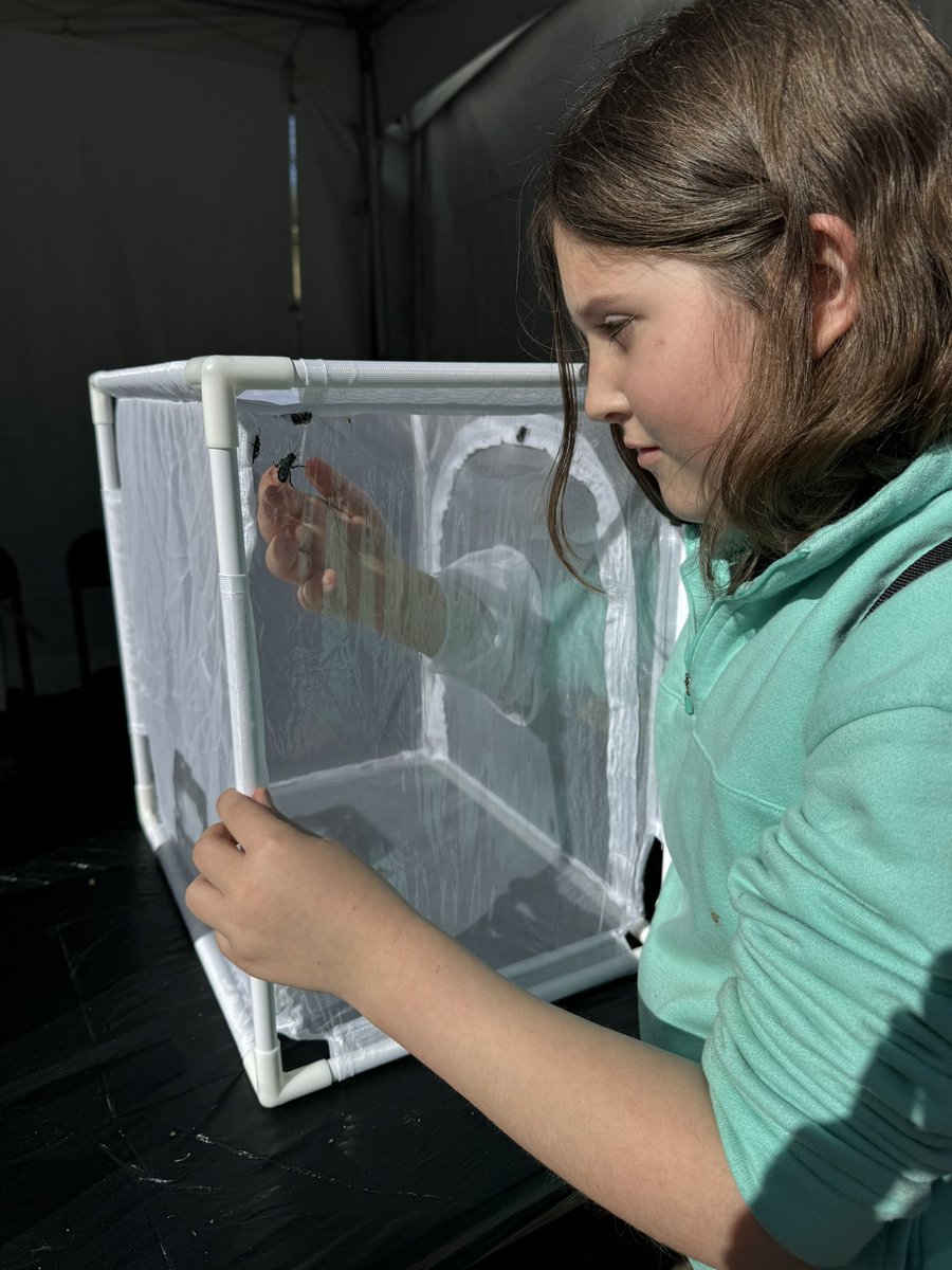 It was so fun to teach kids about the importance of native pollinators at Atlanta Science Festival yesterday! Holding male bumblebees was definitely the hit of our booth! #ATLSciFest *picture posted with permission