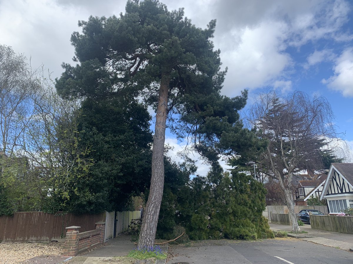 DumiganDavid's tweet photo. Tree down in Shirley Drive - road closed. https://t.co/qrdEMSUvWL