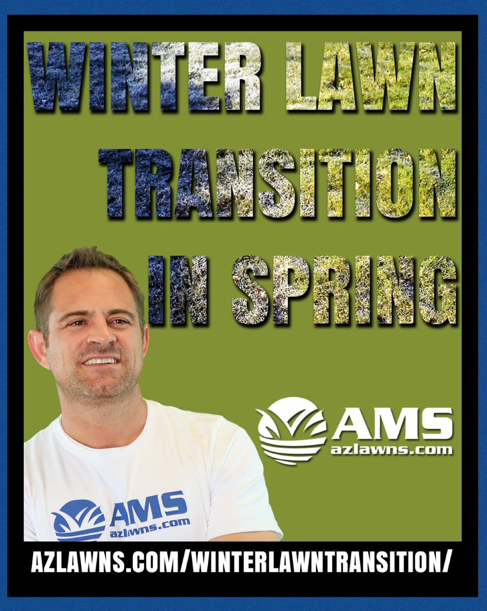Are you seeing dead spots starting to pop up in your winter lawn?
.
With temperatures increasing we will start seeing rye grass die off and bermuda grass start to grow. 
.
azlawns.com/winterlawntran…
.
#winterlawn #winterlawntransition #azlawns #amslandscaping #lawncare #azfamily