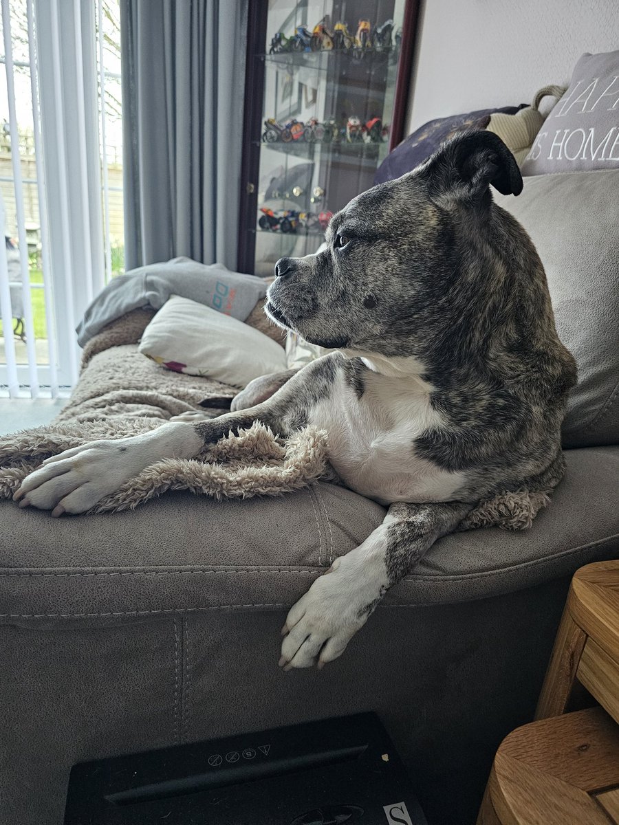 Good day, frens. The sun is shining &amp; life is good. Hope you're having a fantastic time too.