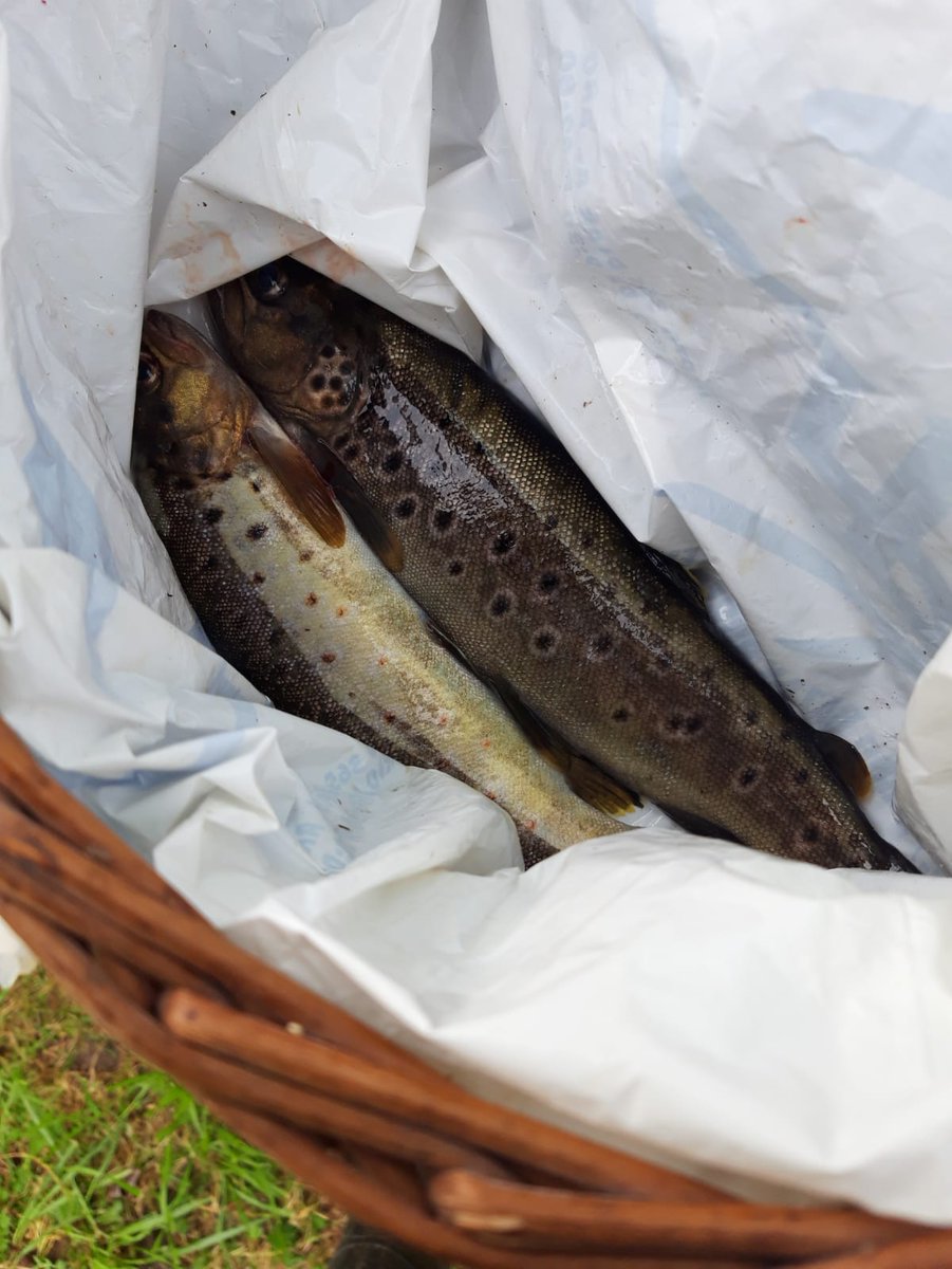 O domingo 17 empezou a tempada de pesca fluvial en Galicia. Os <a href="/VRN_Galicia/">VRN ( Gardas ) RECURSOS NATURAIS GALICIA</a> encárganse da policía e custodia desta actividade. Controlando,entre outras cousas,que teñan a preceptiva licencia en vigor, os cupos de captura e as dimensións minimas dos peixes.