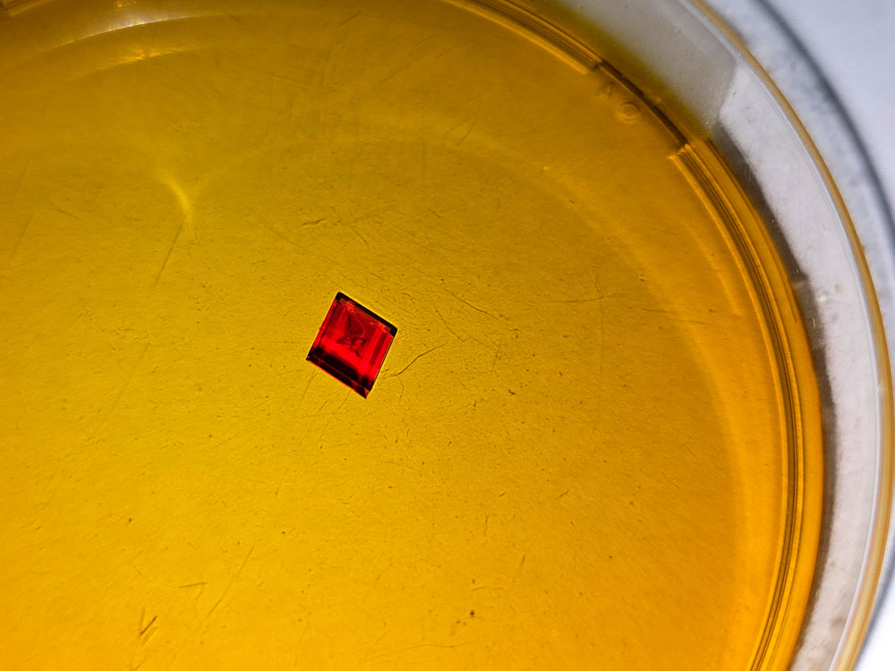 Woke up and saw this potassium ferricyanide crystal that formed overnight in a petri dish. Gonna hang it on a string and see how big it can get.