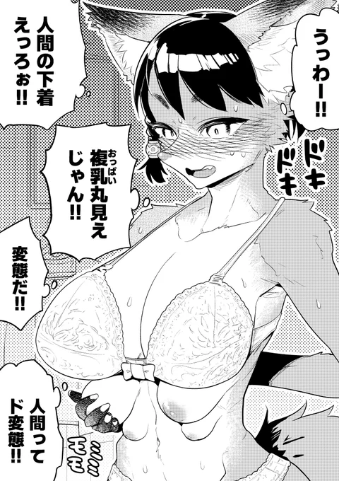【えっちな差分】
人間の下着を試着してみた複乳ケモノさん。 