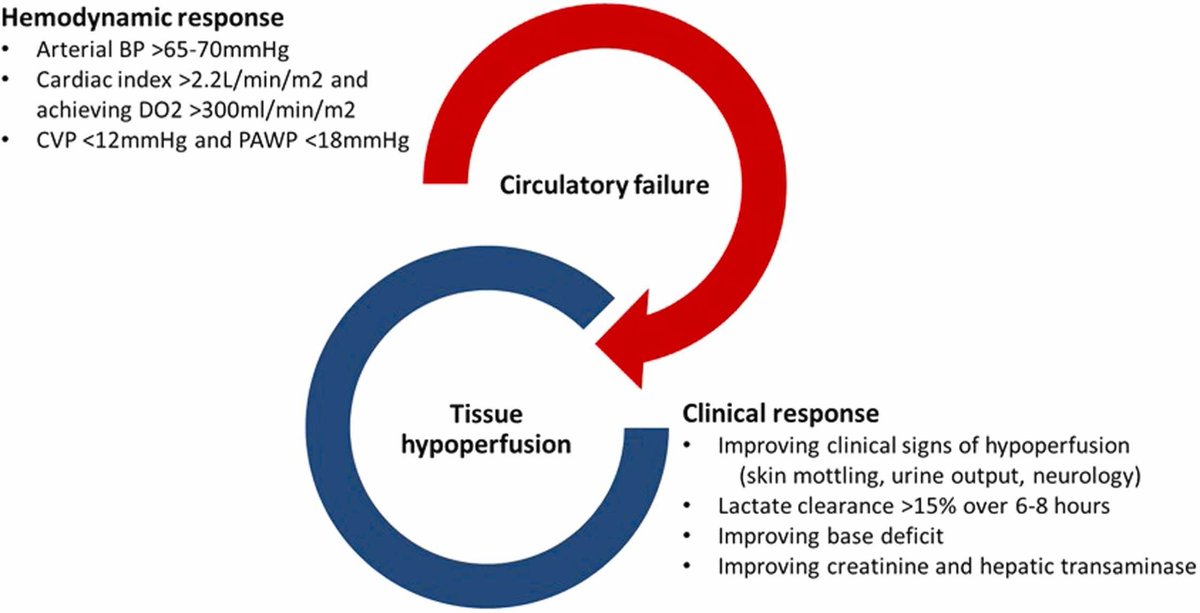 🔴 Hemodynamic Management of Cardiogenic Shock in the Intensive Care Unit : STATE OF THE ART #2024Review #openaccess 

jhltonline.org/article/S1053-…
#Cardiology #medical #CVD #MedEd #medtwitter #CardioEd #CardioTwitter #medicinestudent #CardioEd #medicinestudent #CardioTwitter