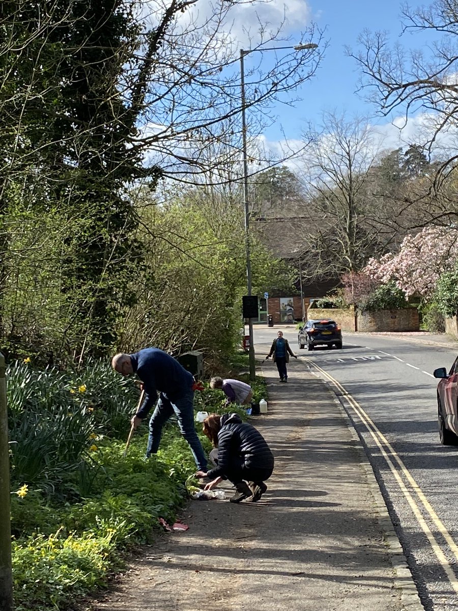 CSGGA's tweet image. Lovely sunny morning planting snowdrops, primroses and foxgloves at Pheasant Hill. Thanks to those who turned out to help and @CStGilesPC for funding. Also got closer look at fritillaries and daffs planted in the Autumn. Sadly other bulbs under water by the river.