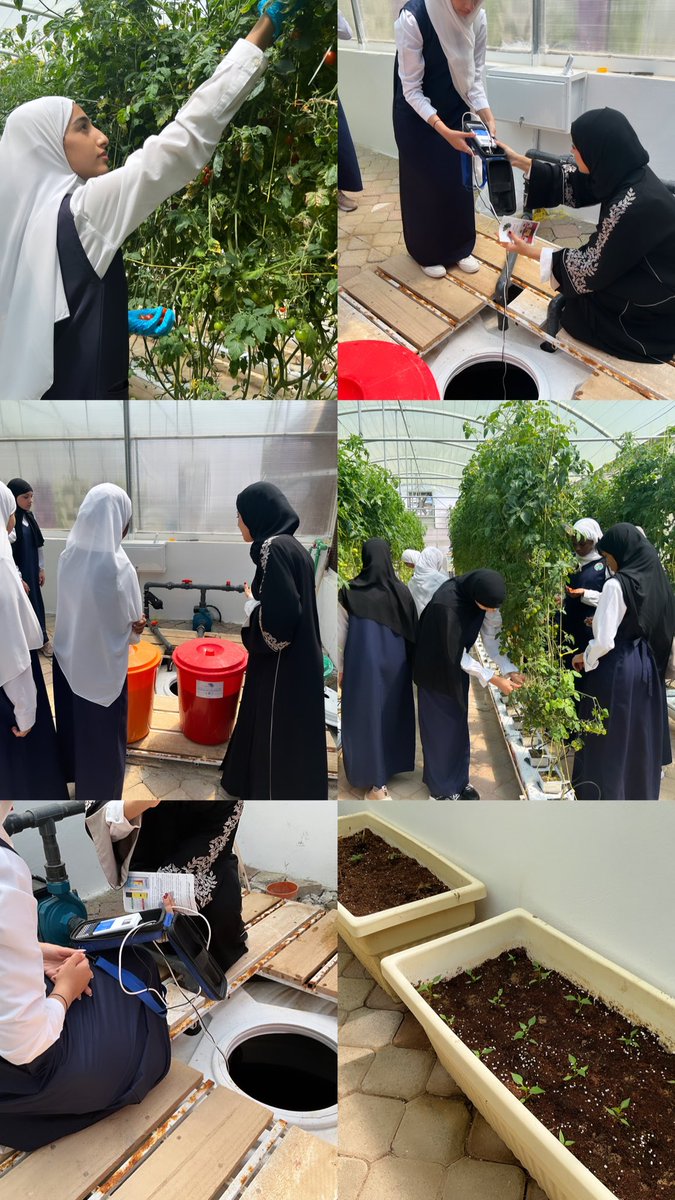 Teaming up with brilliant students to cultivate a hydroponic paradise! 🌱🌿
<a href="/HayAlSharooq/">HayAlSharooq</a>
