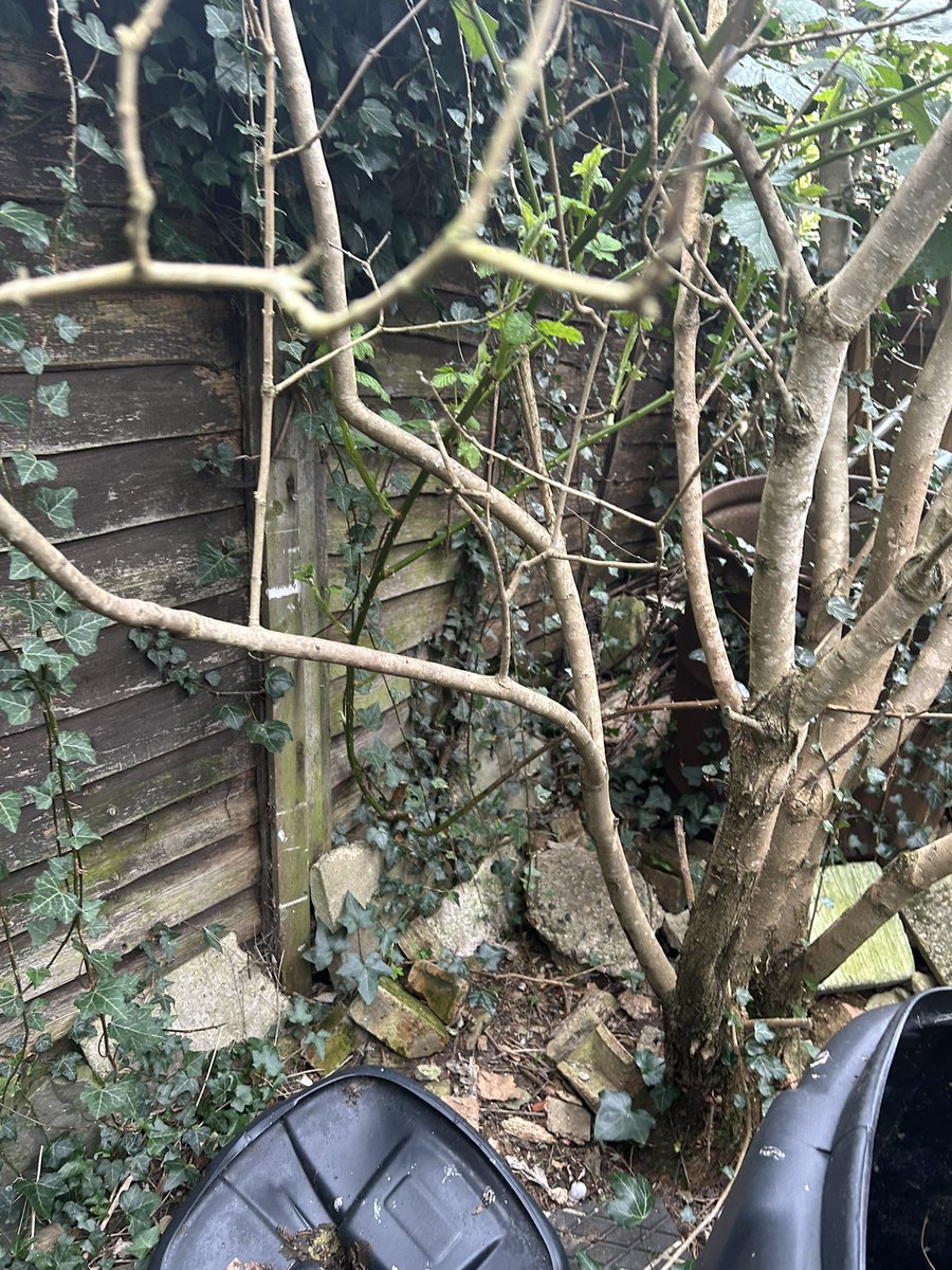 Chris Watts Photography tweet media